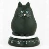 Timer, Cat