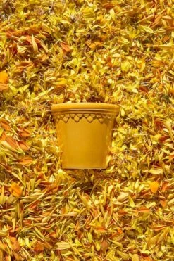 Bergs Potter Copenhagen Pot With Saucer Yellow, Ø18 Cm -Gubi Furni Sales bergs potter copenhagen pot yellow 19 3