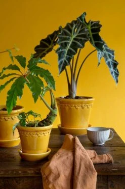 Bergs Potter Copenhagen Pot With Saucer Yellow, Ø14 Cm -Gubi Furni Sales bergs potter copenhagen pot yellow 22 1