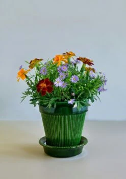 Bergs Potter Simona Pot Green, 14 Cm 13 Bergs Potter Simona Pot Green, 14 Cm -Gubi Furni Sales bergs potter simona pot green 9