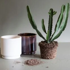 DBKD Solid Pot Small, White 7 DBKD Solid Pot Small, White -Gubi Furni Sales dbkd solid flower pot white 2