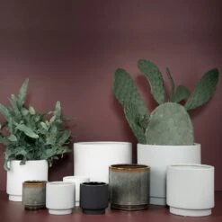 DBKD Solid Pot Small, White 9 DBKD Solid Pot Small, White -Gubi Furni Sales dbkd solid flower pot white 4