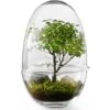 Design House Stockholm Grow Greenhouse XL, Clear -Gubi Furni Sales design house stockholm grow greenhouse 17
