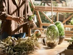 Design House Stockholm Grow Greenhouse XL, Clear -Gubi Furni Sales design house stockholm grow greenhouse 20