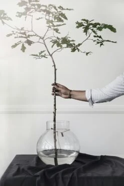 Ernst Glass Vase Clear, 24 Cm -Gubi Furni Sales ernst glass vase clear 4