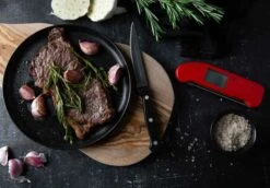 Thermapen One Thermometer, Grey -Gubi Furni Sales eti thermapen one thermometer 5