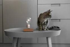 Flyte Buckminster Table Lamp -Gubi Furni Sales flyte flyte buckminster table lamp 5