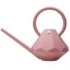 Watering Can 8 L, Rusty Rose -Gubi Furni Sales garden glory watering can 8 l 6