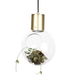 Globen Lighting Mini Hole Pendant/Table, Clear/Brushed Brass