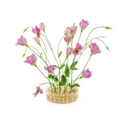 Klong Äng Vase Pond, Brass -Gubi Furni Sales klong ang vas pond 7