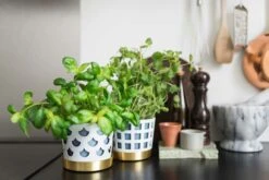 Klong Trio Flowerpot Small Square, White -Gubi Furni Sales klong trio flowerpot square white 2