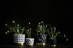 Klong Trio Flowerpot Small Square, White -Gubi Furni Sales klong trio flowerpot square white 7