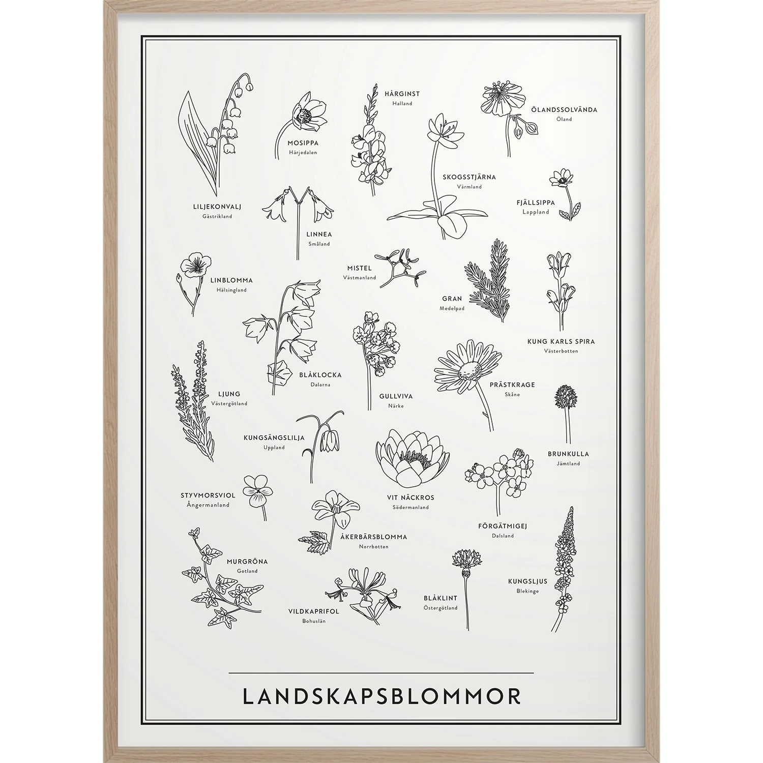 Landscape Flowers Poster, 30x40 Cm 3 Landscape Flowers Poster, 30x40 Cm