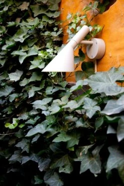 Louis Poulsen AJ 50 Wall Lamp, White Structure -Gubi Furni Sales louis poulsen aj 50 wall lamp 9