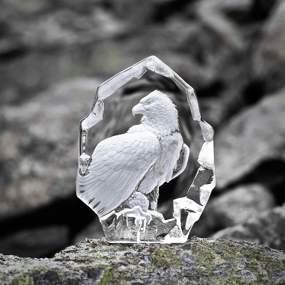 Wildlife Whiteheaded Eagle 4 Wildlife Whiteheaded Eagle - Image 2