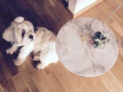 OX Denmarq Mini O Side Table Ø40 Cm, Brass Frame/Glass -Gubi Furni Sales ox denmarq mini o side table 40 cm glass 2