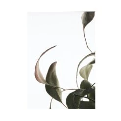 Floating Leaves 08 Poster A3